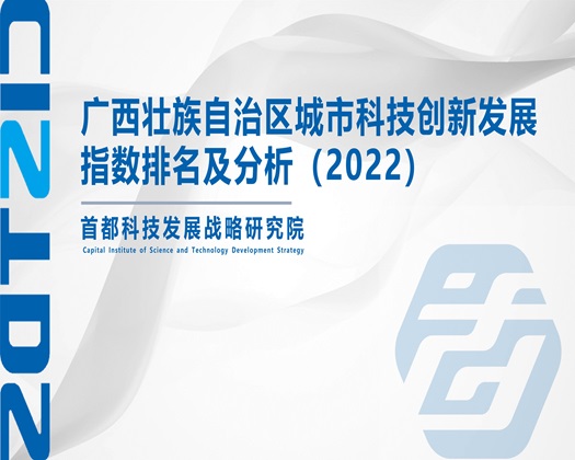 看黄色片在快鸡看【成果发布】广西壮族自治区城市科技创新发展指数排名及分析（2022）